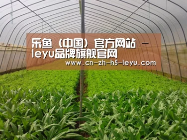 种植基地四