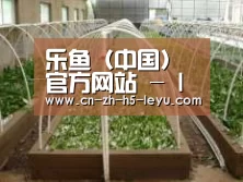 环境展示五