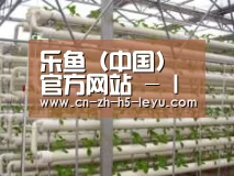 环境展示六