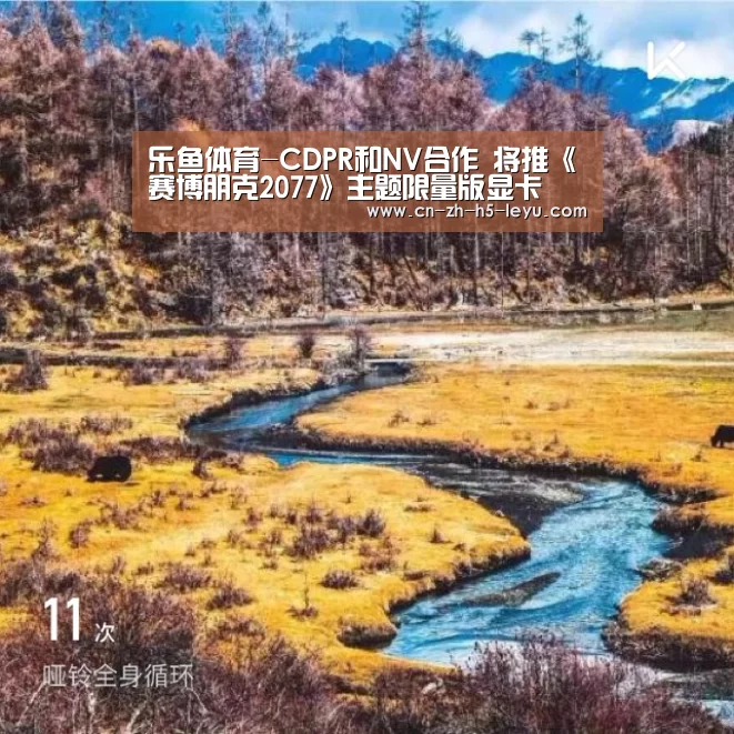 乐鱼