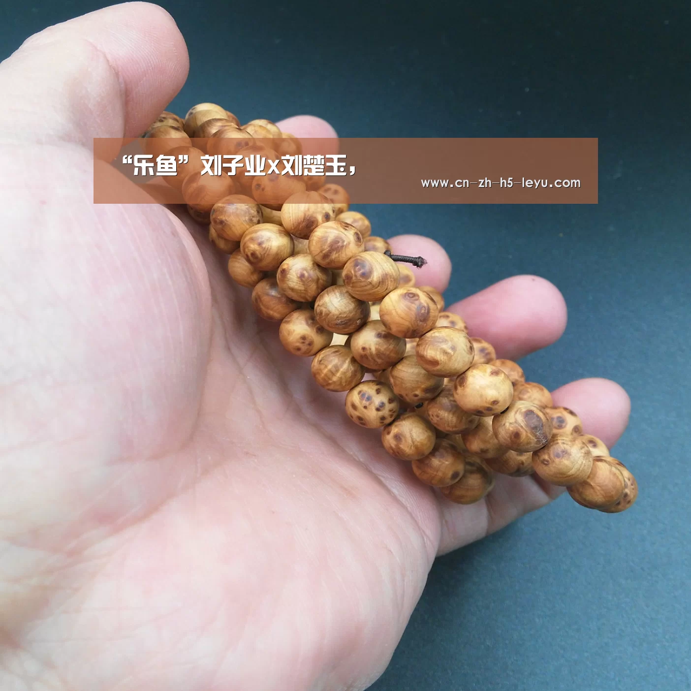 “乐鱼”刘子业x刘楚玉,(图1) 乐鱼